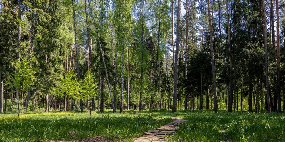 Обзор коттеджного поселка «Лесные Зори» на Новорижском шоссе. Блог агентства недвижимости Bright Estate