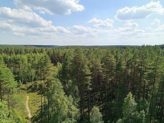 Можно ли купить участок в лесу?. Блог агентства недвижимости Bright Estate