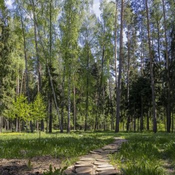 Обзор коттеджного поселка «Лесные Зори» на Новорижском шоссе