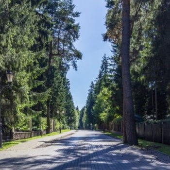 Обзор коттеджного поселка «Шервуд» (Sherwood) на Новорижском шоссе