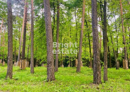 Купить участок 38,83 сотки в Серебряном Бору. ID 21978
