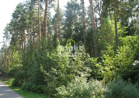Продажа земельного участка в поселке Грибово. Лот №4230 Продажа земельного участка в поселке Грибово. ID 4230