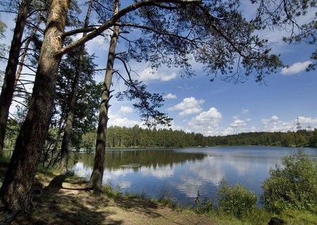 Берег Хонка