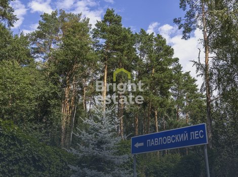 Купить лесной участок 50 соток в коттеджном поселке Павловский лес. ID 13267