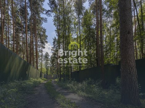 Купить лесной участок 50 соток в коттеджном поселке Павловский лес. ID 13267