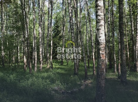 Лесной земельный участок в загородном поселке Вымпел. ID 13834