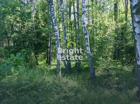 Купить земельный участок в КП Павловы Озера. Лот №15475 Купить земельный участок в КП Павловы Озера. ID 15475