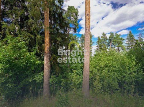 Купить лесной участок 35 соток в КП Покровское-Рубцово. ID 17196