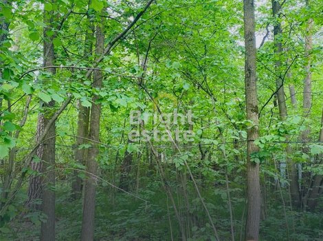Купить лесной участок 40 соток в КП Ильинские дачи. ID 18108