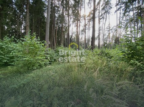 Купить лесной участок с фундаментом в КП Вымпел. ID 18338