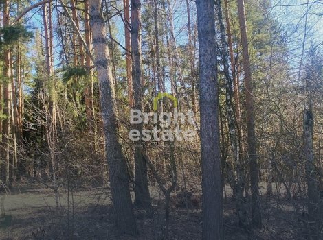 Купить участок под строительство коттеджа в КП Гранд Иславское. ID 20996