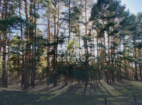 Купить участок под строительство коттеджа в КП Гранд Иславское. ID 20996