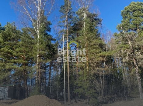 Купить участок 11 соток в КП Гранд Иславское. ID 20997