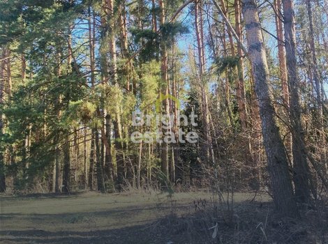 Купить участок с лесными деревьями в КП Гранд Иславское. ID 20998