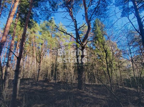 Продажа участка в КП Гранд Иславское. ID 20999