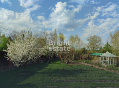 Купить участок с лесными деревьями в деревне Борзые. ID 21226