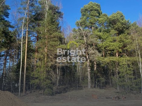 Купить участок в коттеджном поселке Гранд Иславское. ID 21372