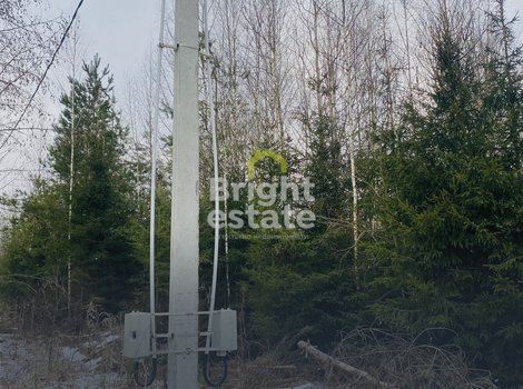 Купить лесной участок в поселке ДПК Оленев и К. ID 21476
