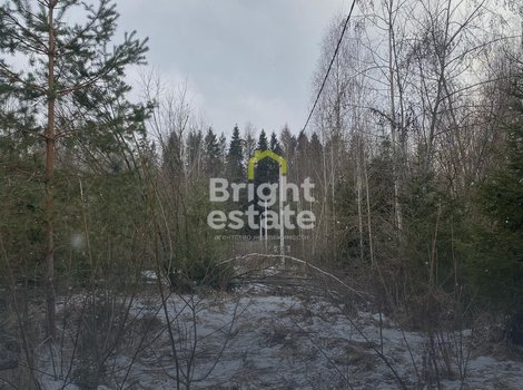 Купить участок в поселке ДПК Оленев и К. ID 21477