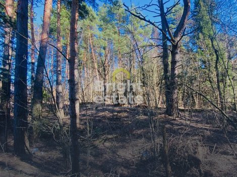 Купить участок в КП Гранд Иславское. ID 21763