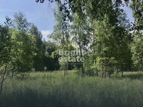 Купить участок 180 соток в КП Раздоы. ID 21857