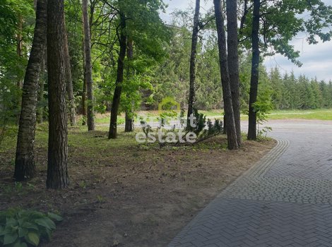 Купить участок 180 соток в КП Раздоы. ID 21857
