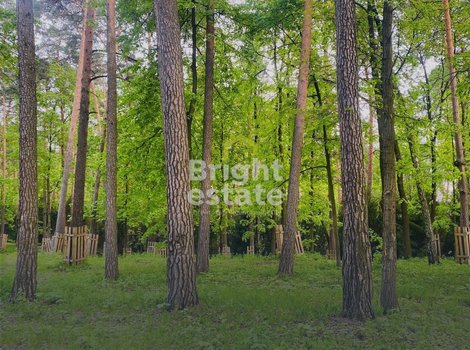Купить участок 38,83 сотки в Серебряном Бору. ID 21978