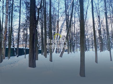 Купить лесной участок в КП Пансионат Петрово-Дальнее. ID 22043