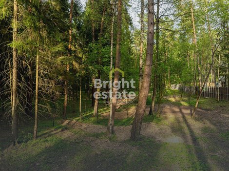 Купить участок 50 соток в КП LES Маслово. ID 22044