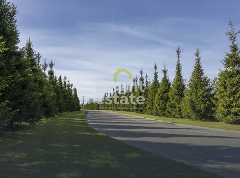Купить участок 78 соток в загородном поселке Агаларов Эстейт. ID 22050