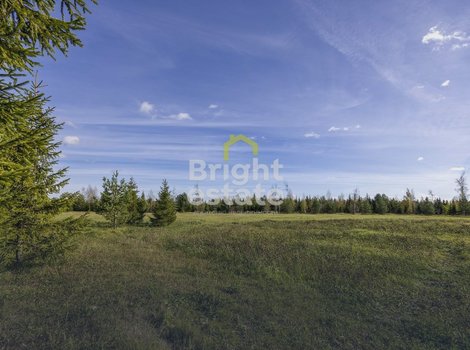 Купить участок 78 соток в загородном поселке Агаларов Эстейт. ID 22050
