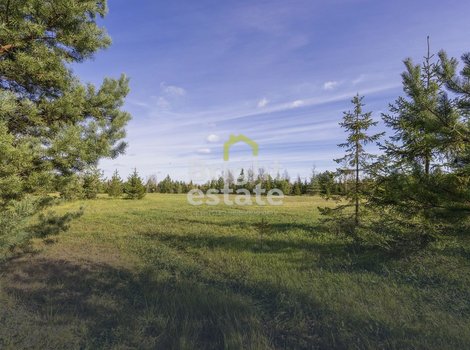 Купить участок с коммуникациями в загородном поселке Агаларов Эстейт. ID 22059