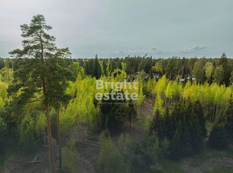 Купить участок 25 соток в камерном поселке LES Иславское. ID 22196