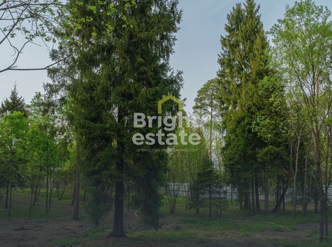 Купить участок с коммуникациями в камерном поселке LES Иславское. ID 22198