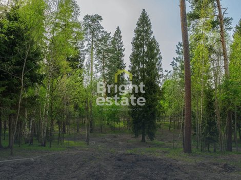 Купить участок с коммуникациями в камерном поселке LES Иславское. ID 22198