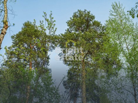 Купить участок с коммуникациями в камерном поселке LES Иславское. ID 22198