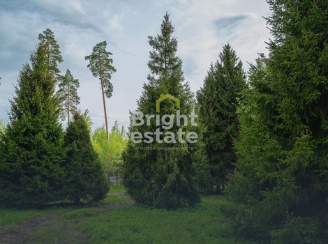 Купить лесной участок в камерном поселке LES Иславское. ID 22199