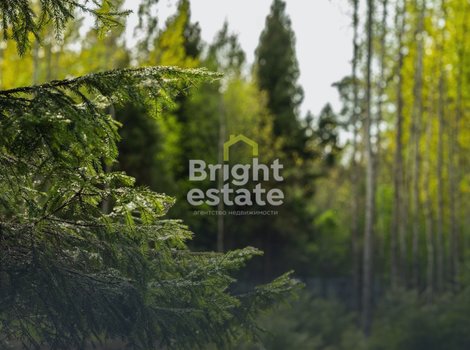 Купить лесной участок в камерном поселке LES Иславское. ID 22199