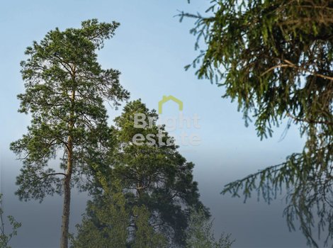 Купить участок 22 сотки в камерном поселке LES Иславское. ID 22200