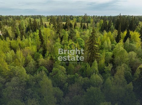 Купить участок 18 соток в камерном поселке LES Иславское. ID 22201