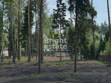 Купить лесной участок 51 сотка в КП Лесные зори. ID 22574