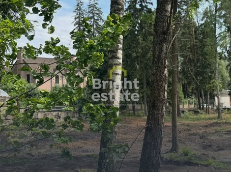 Купить лесной участок 51 сотка в КП Лесные зори. ID 22574