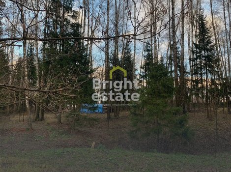 Купить участок в КП Лесные зори - лесные 9 соток для строительства дома. ID 22608