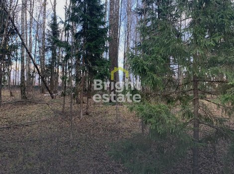 Купить участок в КП Лесные зори - лесные 9 соток для строительства дома. ID 22608