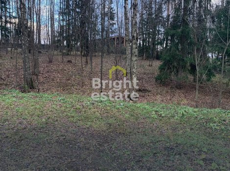 Купить участок в КП Лесные зори - лесные 9 соток для строительства дома. ID 22608