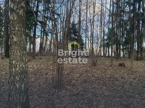 Купить участок в КП Лесные зори - лесные 9 соток для строительства дома. ID 22608