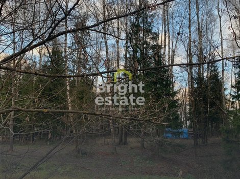 КП Лесные зори - участок 20 с лесными деревьями. ID 22609