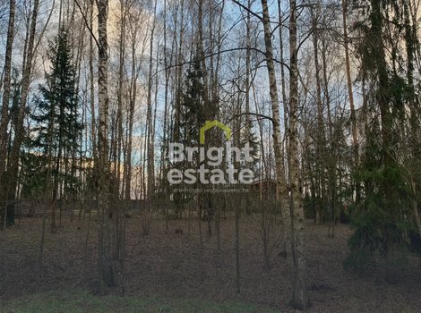 КП Лесные зори - участок 20 с лесными деревьями. ID 22609