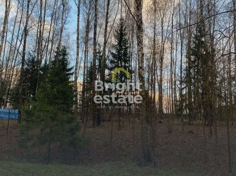 КП Лесные зори, Новорижское шоссе. Продажа лесного участка 40 соток. ID 22610