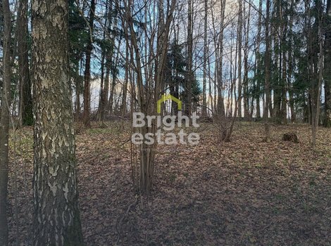 КП Лесные зори, Новорижское шоссе. Продажа лесного участка 40 соток. ID 22610